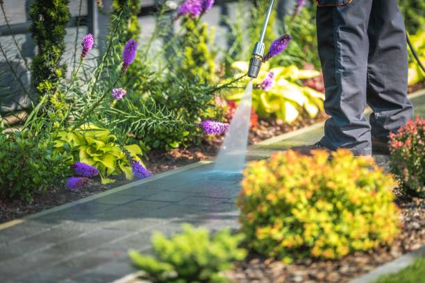 Best Post-Construction Pressure Washing  in Wilderness Rim, WA
